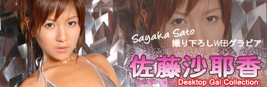Sayaka Sato DGC